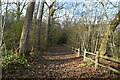 Footpath, Home Wood