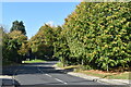 Approaching Easton Cross Roads