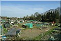 Allotments, Salisbury