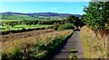 Riverside path outside Rothbury