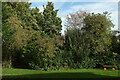 Garden, Bedminster Quaker Meeting House