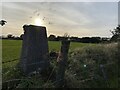 Plas-Newydd Trig Point Flush Bracket S5866