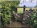 Stone Stile, Hazelton