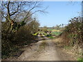 Track off Salisbury Road (A338)