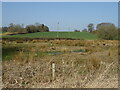 Boggy ground beside Salisbury Road (A338)