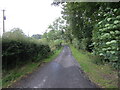 Tree and hedge enclosed minor road near to Burnhead Farm