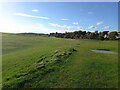 Fairways and boundary markers on Lundin Golf Course