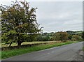 An autumn view from Butsfield Lane