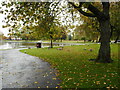 Richmond Park Pond