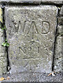 OS Cut Mark - Carmarthen, WD#1 Boundary Stone