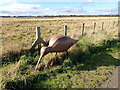 Bird sculpture beside the path to North Gare