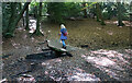 Footbridge in the Forest