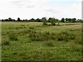 A large field, Woodworth Green