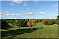 SK5339 : Autumn in Wollaton Park by Alan Murray-Rust