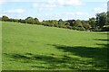 Field near Glebe Farm