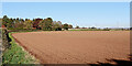 Shropshire farmland north of Badger