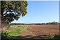 Shropshire farmland north of Badger