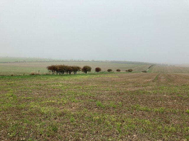 Farmland to the North of Foxholes