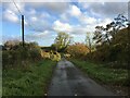 Minor road near Tomshielburn