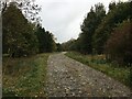 Road into Thistlesike Plantation