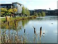 Architectural studies, Jubilee Campus, October 2022 ? 13