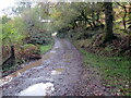 Llwybr ceffyl ger Pwllcynbyd /  Bridleway near Pwllcynbyd