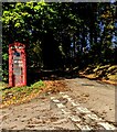SO3433 : Red phonebox on grass, Newton, Herefordshire by Jaggery