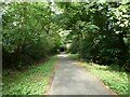 Taff Trail east of USW Sports Ground