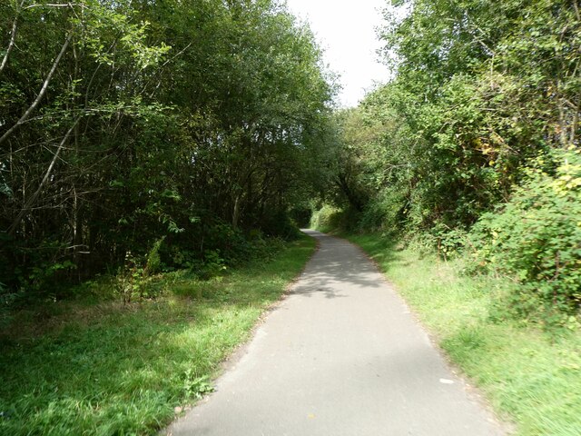 Taff Trail in woods west of Gelli Hirion Industrial Estate