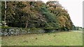 Estate Walling to Ormerod House