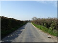 SY7291 : Minor road towards Dorchester by JThomas