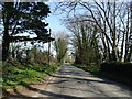 Minor road towards Ilsington 