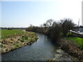 River Frome from Grey