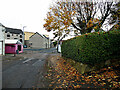 Fallen leaves along Brookmount Road, Omagh