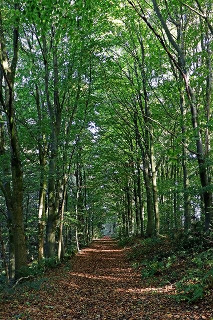 Bridleway to Stableford in Shropshire © Roger D Kidd :: Geograph ...