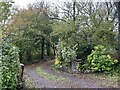 Track to Blaenberem