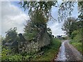 Ruined farm building near Ffrwd Gain