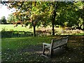 New bench in Sandbach Park