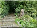 Wooden sculpture in Congleton park