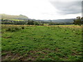 Rough pastureland on the edge of Killearn Glen