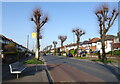 Bus stop on Christchurch Road (A35)