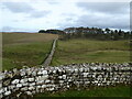 NY7968 : Hadrian's Wall below Clew Hill by Oliver Dixon