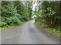 Loch Ard Forest - Access roadway at Milton