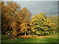 NS5574 : Autumn colours, Lennox Park by Richard Sutcliffe
