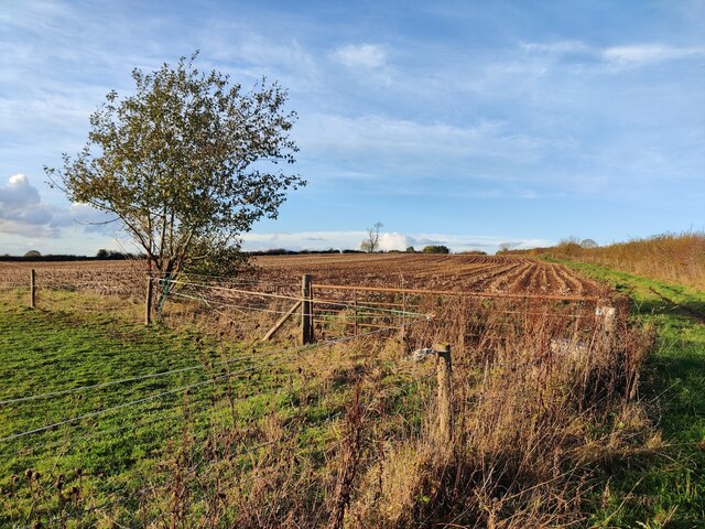 Farmland next to the Wassell Wood... © Mat Fascione :: Geograph Britain ...