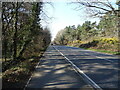 A351 towards Wareham