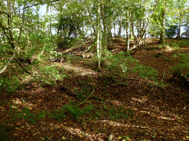 Site of Warbleton Priory Furnace