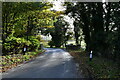 Helhoughton: Approaching a bridge over the River Wensum