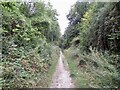 Path, Shillingstone Hill