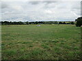 SO6662 : Grass field near Wolferlow by Jonathan Thacker